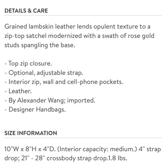 💙 Alexander Wang Rockie - Picture 3 of 11